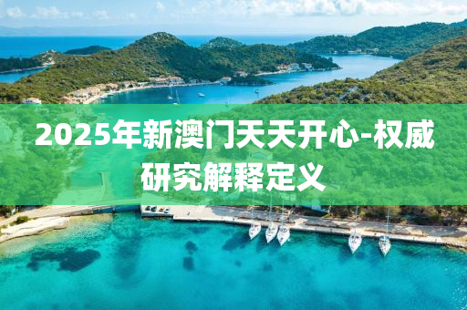2025年新澳门天天开心-权威研究解释定义