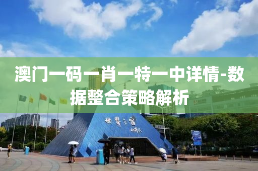 澳门一码一肖一特一中详情-数据整合策略解析