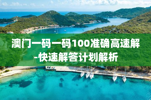 澳门一码一码100准确高速解-快速解答计划解析