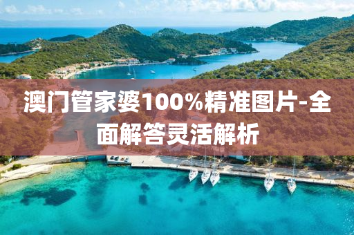 澳门管家婆100%精准图片-全面解答灵活解析