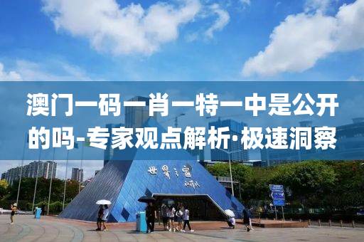 澳门一码一肖一特一中是公开的吗-专家观点解析·极速洞察