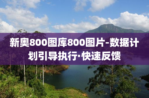新奥800图库800图片-数据计划引导执行·快速反馈