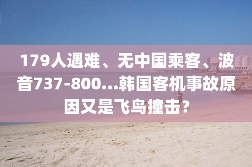 179人遇难、无中国乘客、波音737-800…韩国客机事故原因又是飞鸟撞击？