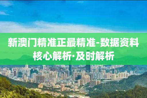 新澳门精准正最精准-数据资料核心解析·及时解析