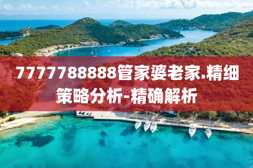 7777788888管家婆老家.精细策略分析-精确解析