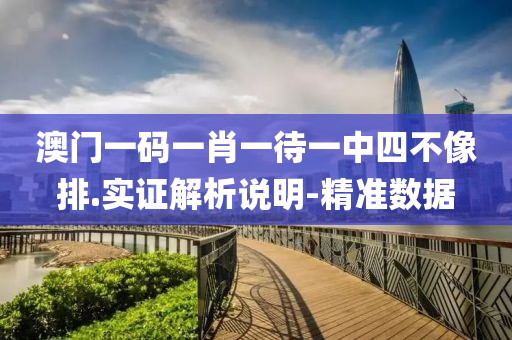 澳门一码一肖一待一中四不像排.实证解析说明-精准数据