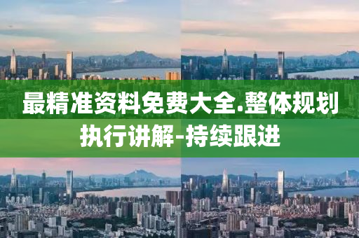 最精准资料免费大全.整体规划执行讲解-持续跟进