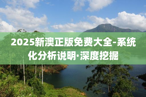 2025新澳正版免费大全-系统化分析说明·深度挖掘