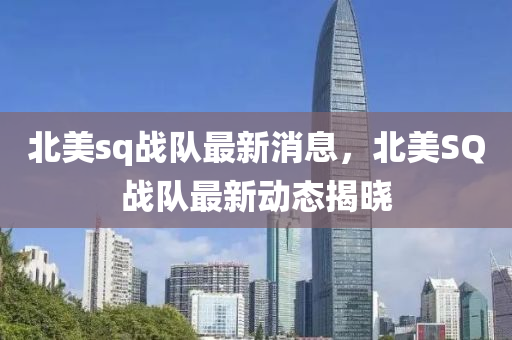 北美sq战队最新消息，北美SQ战队最新动态揭晓