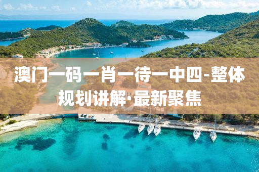 澳门一码一肖一待一中四-整体规划讲解·最新聚焦
