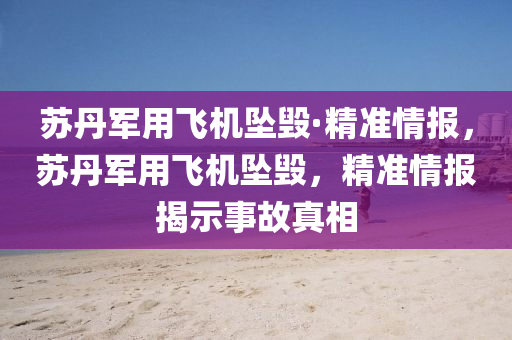 苏丹军用飞机坠毁·精准情报，苏丹军用飞机坠毁，精准情报揭示事故真相