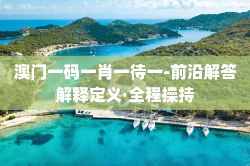 澳门一码一肖一待一-前沿解答解释定义·全程操持