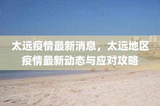太远疫情最新消息，太远地区疫情最新动态与应对攻略