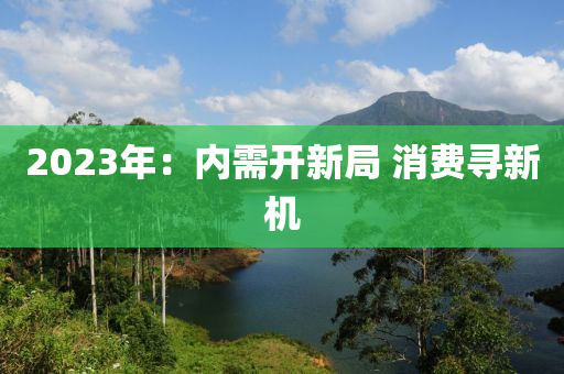 2023年：内需开新局 消费寻新机