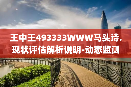 王中王493333WWW马头诗.现状评估解析说明-动态监测