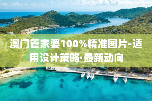 澳门管家婆100%精准图片-适用设计策略·最新动向