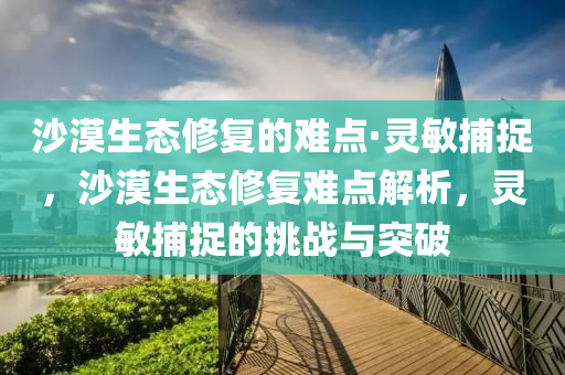 沙漠生态修复的难点·灵敏捕捉，沙漠生态修复难点解析，灵敏捕捉的挑战与突破