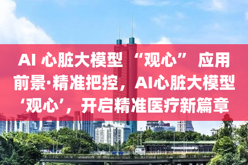 AI 心脏大模型 “观心” 应用前景·精准把控，AI心脏大模型‘观心’，开启精准医疗新篇章
