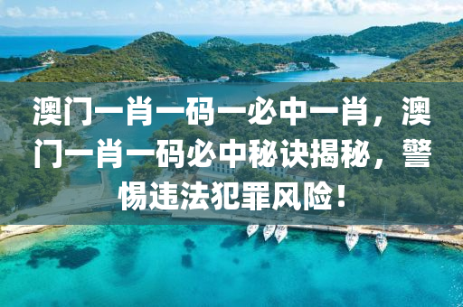 澳门一肖一码一必中一肖，澳门一肖一码必中秘诀揭秘，警惕违法犯罪风险！