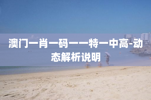 澳门一肖一码一一特一中高-动态解析说明