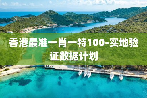 香港最准一肖一特100-实地验证数据计划