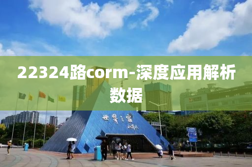 22324路corm-深度应用解析数据