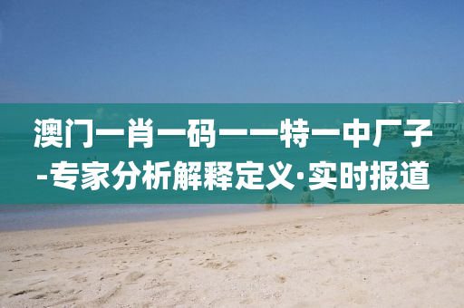 澳门一肖一码一一特一中厂子-专家分析解释定义·实时报道