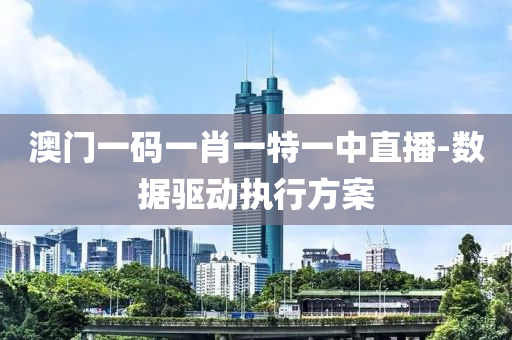澳门一码一肖一特一中直播-数据驱动执行方案