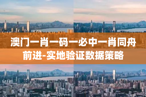 澳门一肖一码一必中一肖同舟前进-实地验证数据策略