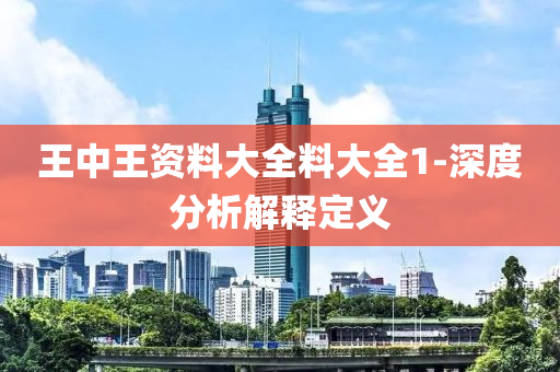 王中王资料大全料大全1-深度分析解释定义
