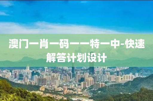澳门一肖一码一一特一中-快速解答计划设计