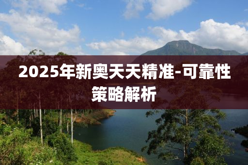 2025年新奥天天精准-可靠性策略解析