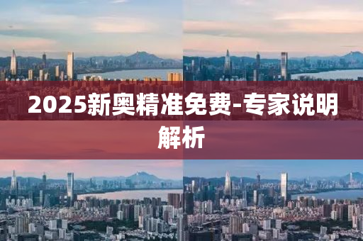 2025新奥精准免费-专家说明解析