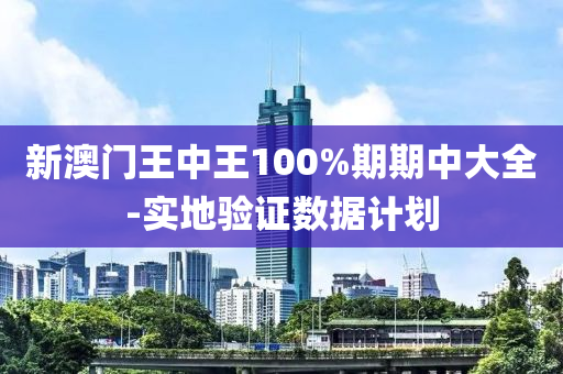 新澳门王中王100%期期中大全-实地验证数据计划