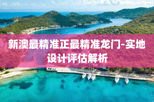新澳最精准正最精准龙门-实地设计评估解析