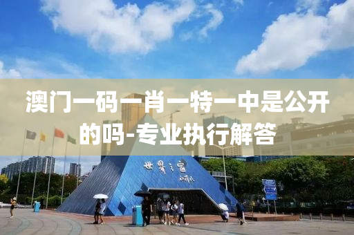 澳门一码一肖一特一中是公开的吗-专业执行解答