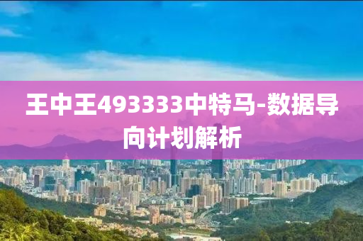 王中王493333中特马-数据导向计划解析