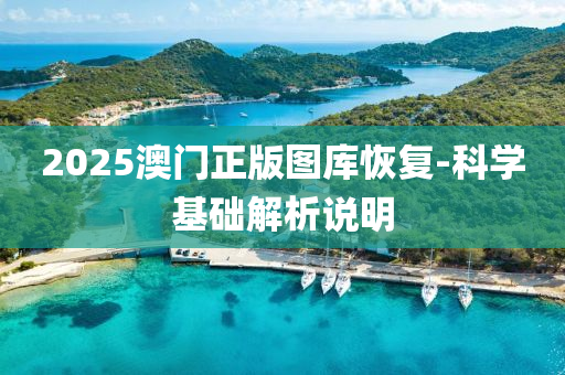 2025澳门正版图库恢复-科学基础解析说明
