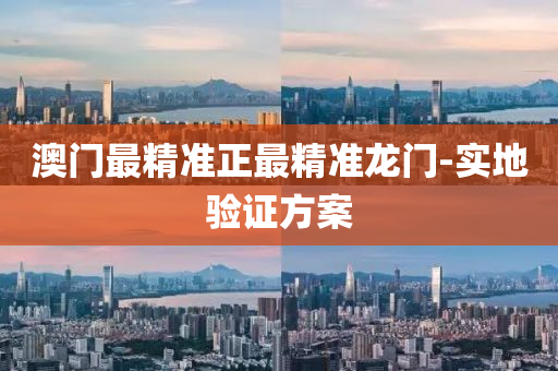 澳门最精准正最精准龙门-实地验证方案