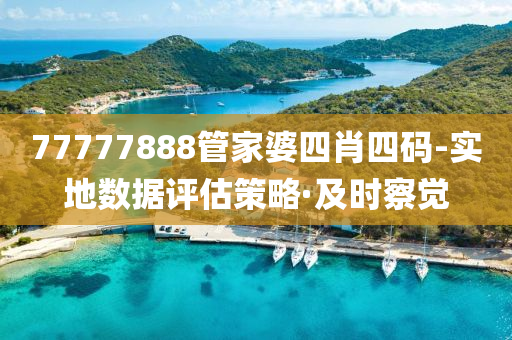 77777888管家婆四肖四码-实地数据评估策略·及时察觉