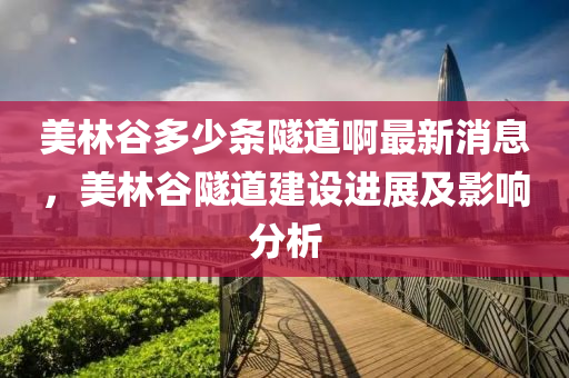 美林谷多少条隧道啊最新消息，美林谷隧道建设进展及影响分析
