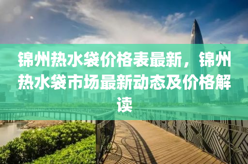 锦州热水袋价格表最新，锦州热水袋市场最新动态及价格解读