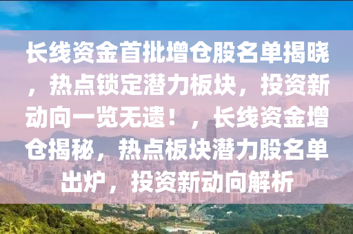 长线资金首批增仓股名单揭晓，热点锁定潜力板块，投资新动向一览无遗！，长线资金增仓揭秘，热点板块潜力股名单出炉，投资新动向解析