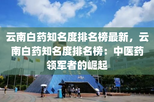 云南白药知名度排名榜最新，云南白药知名度排名榜：中医药领军者的崛起