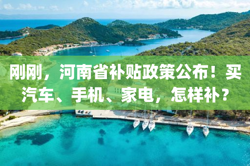 刚刚，河南省补贴政策公布！买汽车、手机、家电，怎样补？