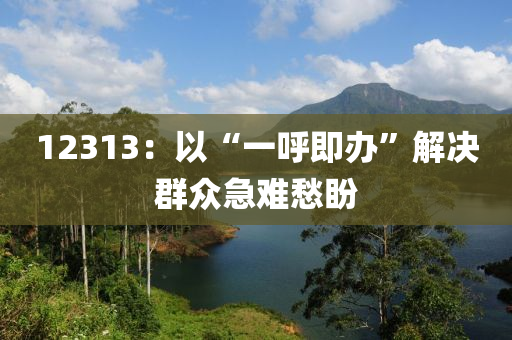 12313：以“一呼即办”解决群众急难愁盼