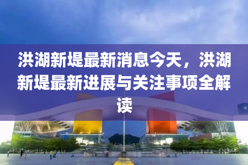 洪湖新堤最新消息今天，洪湖新堤最新进展与关注事项全解读