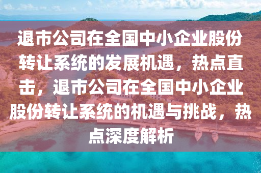 退市公司在全国中小企业股份转让系统的发展机遇，热点直击，退市公司在全国中小企业股份转让系统的机遇与挑战，热点深度解析