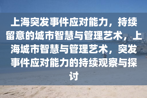 上海突发事件应对能力，持续留意的城市智慧与管理艺术，上海城市智慧与管理艺术，突发事件应对能力的持续观察与探讨