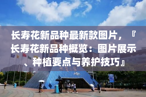 长寿花新品种最新款图片，『长寿花新品种概览：图片展示、种植要点与养护技巧』